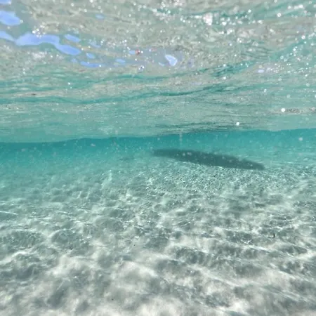 شقة Sa Domo De Tzia Elene