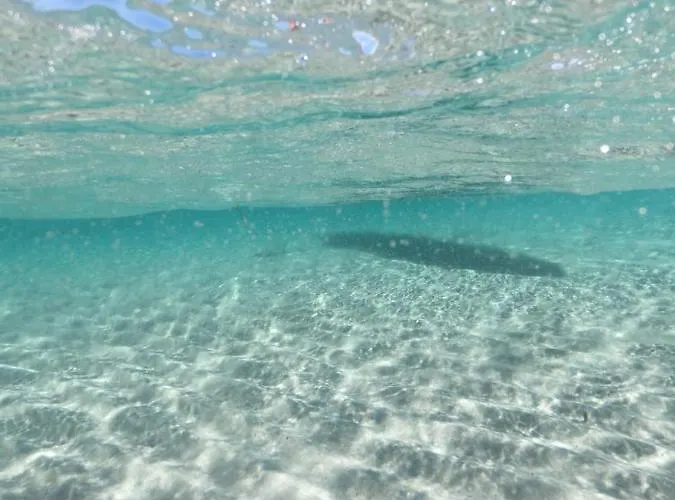 Daire Sa Domo De Tzia Elene